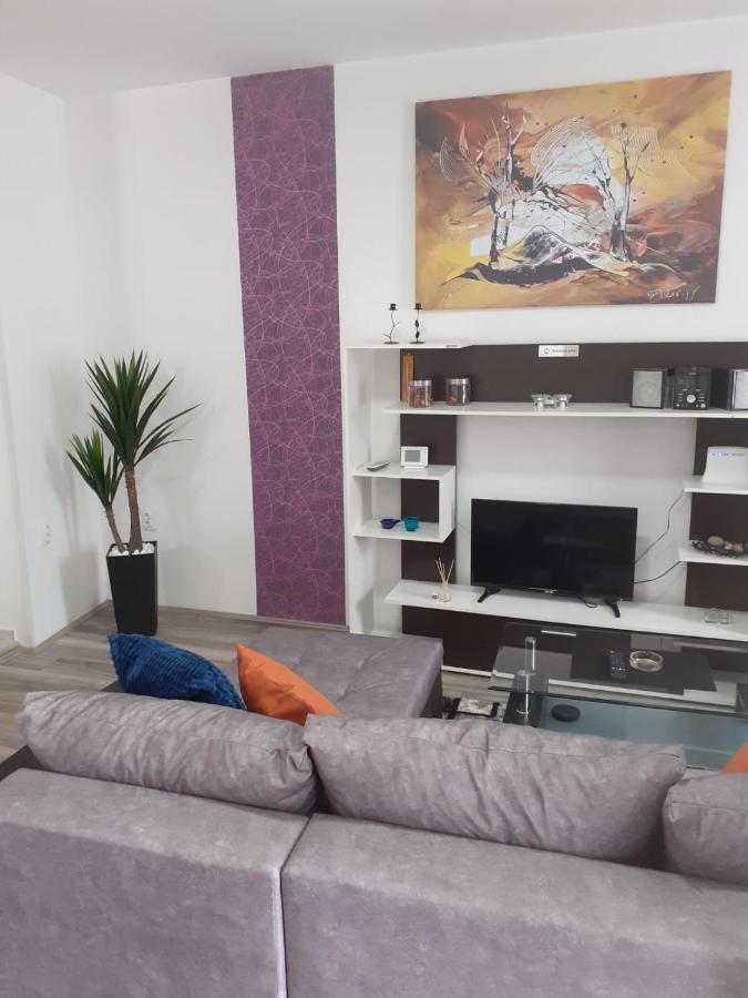 Infinity Spa Nagybecskerek Kültér fotó